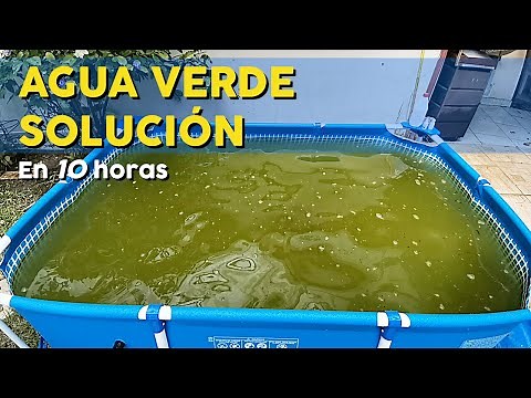 HOW TO TREAT GREEN WATER IN 10 HOURS