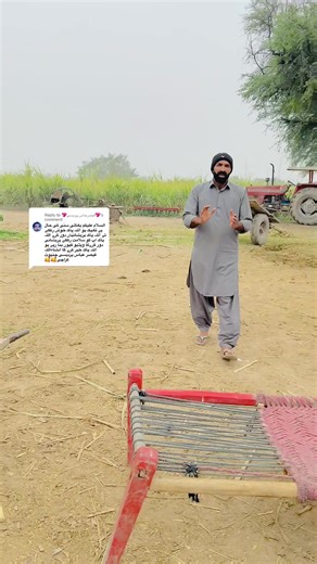 Exploring Sunny Jappa: A Cultural Journey