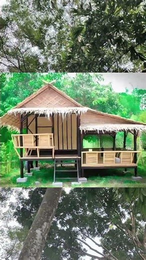 Part 1 mulai bikin gubuk bambu di tengah ladang sama Abah