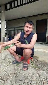 New MikroTik Load Balancing 👌