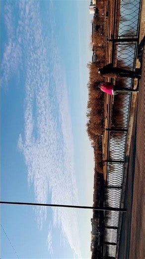 The embankment is full of spring sounds and life, the embankment in blue, actively searching for the