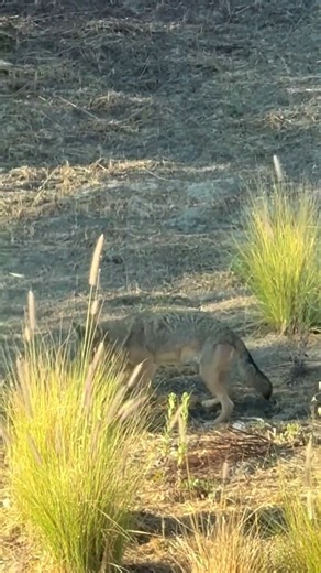 Cleanup Crew #snake#rats#notwelcome