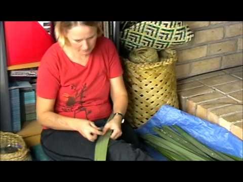 How to prepare harakeke (NZ Flax/Phormium) part 1