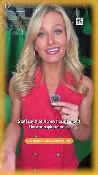 Meet Honey, an Arlington funeral home's most comforting employee