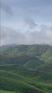 Munnar in 4K 🌿 A Cinematic Journey Through Kerala’s Most Beautiful Hill Statio