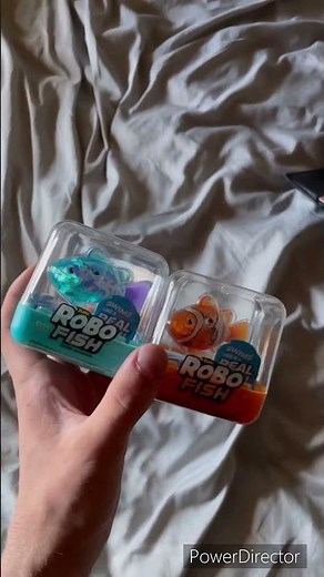 Zuru Robo-Fish Test!