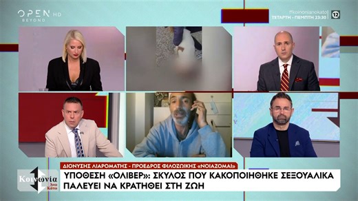 Ηλεία: Παλεύει για τη ζωή του σκυλί που κακοποιήθηκε βάναυσα