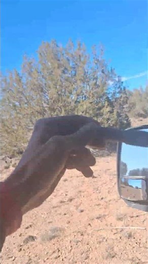 Life is full of choices