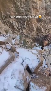 So close 💀🥶😱 | Crazy Videos