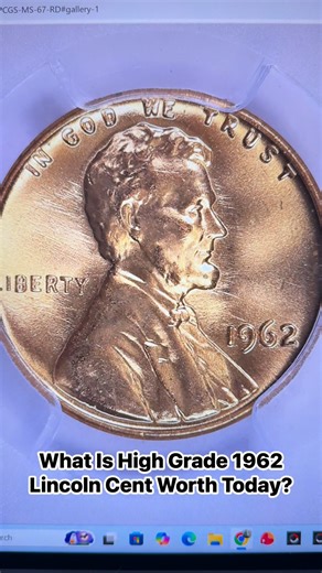 13K views · 228 reactions | Blueridgesilverhound Prime on Reels | Facebook