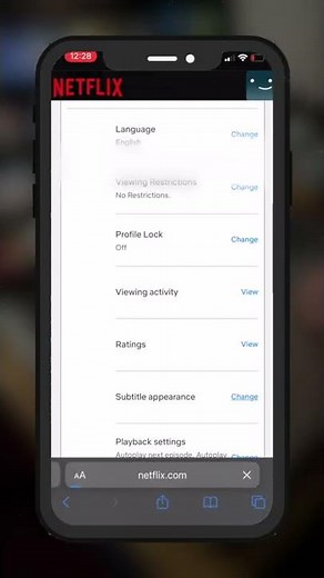 How to adjust Netflix subtitles