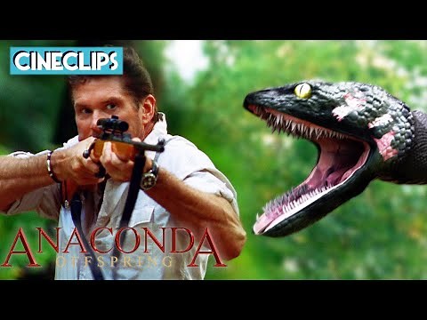 David Hasselhoff Battles A Monster Anaconda | Anaconda 3: Offspring | CineStream