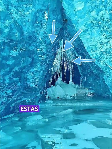 Este destino turístico de CAT Island parece una locura. 🤔#shorts#travel