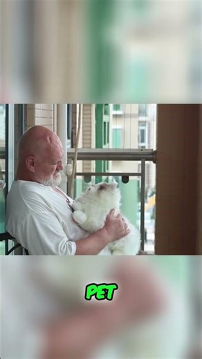 Robotic Pets Bring Comfort to Seniors A New Companion