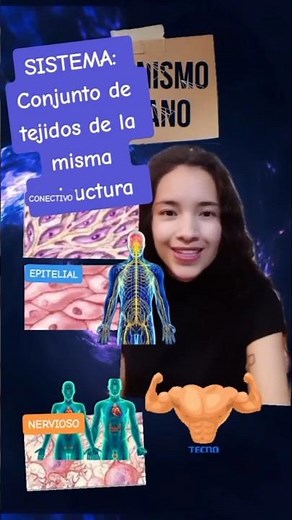 QUE ES UN SISTEMA