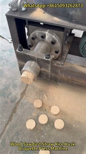 Biomass Sawdust Briquette Press Machine Test | Turning Sawdust into Fuel Briquettes