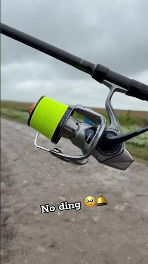 No ding 🛎️ #carpfishing #casting #surfcasting #short DDAWNG Fishing