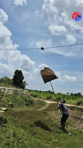 😱" traps a ferret on the cable | Zain Malik