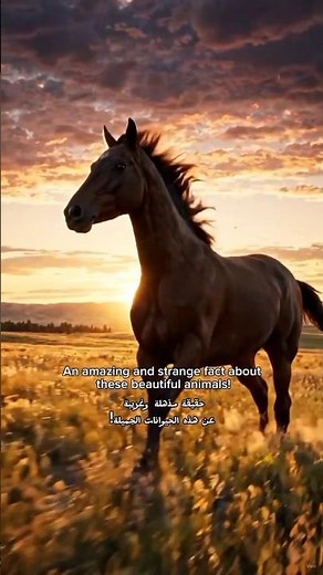 How does a horse breathe? 🐴🫁 | Part 2 ------ #horse #animals #wildlife #shorts