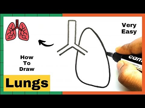 DRAW A Lung In Minutes | How To Draw A Lung Very Easy | Easy Drawing | Drawing Steps 101