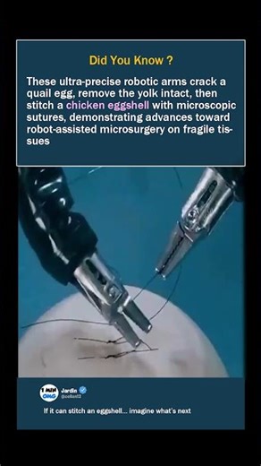 Robotic Arms Perform Microsurgery on an Eggshell