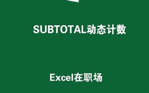 Excel动态统计，subtotal函数教程，职场实用案例