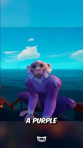 How to Get Pets - Sea of Thieves