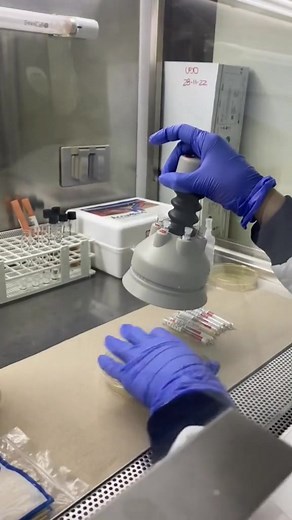 332K views · 3.8K reactions | Microbiology is fun ❣️  #lablife #MedicalLabTechnician #microbiology | Lab life | Facebook