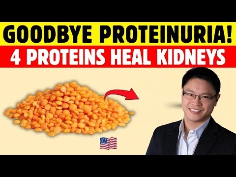 Goodbye Proteinuria: 4 Proteins That Heal Your Kidneys And 3 That Can Destroy Them | Dr Jason Fung