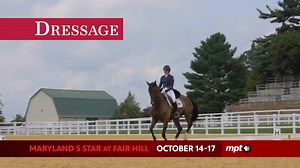 3.9K views · 577 reactions | For more information, visit www.mpt.org/maryland5star! | Maryland Public Television | Facebook