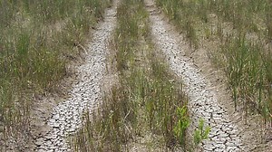 Ford F150 F250 Off-Road Trail Guides