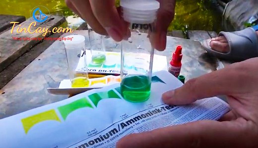 Test NH4/NH3 Sera - Kiểm Tra Nhanh NH4/NH3 Trong Nước • Tin Cậy 2026