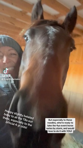 2020 varied model OTTBs, Fashion Munny and Snapper, want everyone to know that they’re big boys now, and they’re super ready to make your 2024 a blast! Message the page for details! | Pacific Farms Incorporated