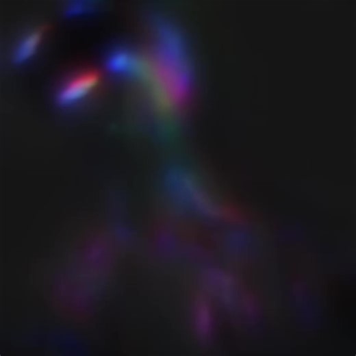 Exploring the Concept of Beauty