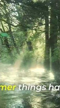 Bible Verses About Eternal Life That Give Hope #BibleVerses#EternalLife#HopeInChrist