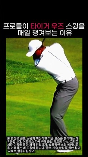 타이거 우즈 스윙 심층 분석: 어드레스부터 파워 전달까지 핵심 기술 해부