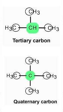 Types of Carbons in Organic chemistry (Primary, Secondary, Tertiary, & Quaternary)