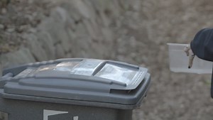 Sorting Out Organics, so you don't have to!