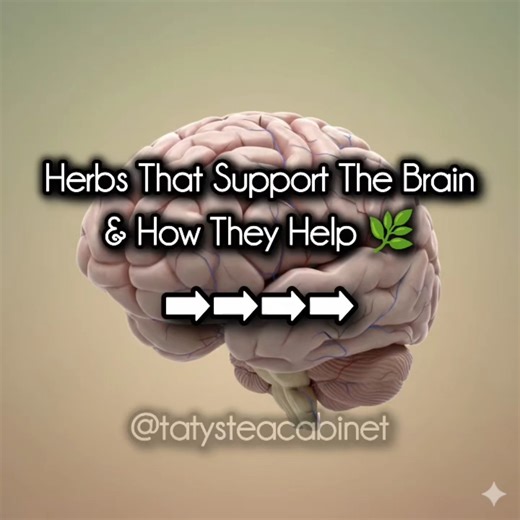 Herbs That Support Brain Health 🌿✨ | Taty's Tea Cabinet