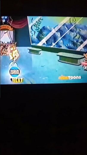 Nicktoons network/nicktoons up next banner (2008/2013)