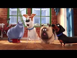 LA VIDA SECRETA DE TUS MASCOTAS | Spot "Gatos"