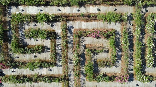 浙大最新Science Robotics成果：具备时间和数值双重稳定性的轨迹规划