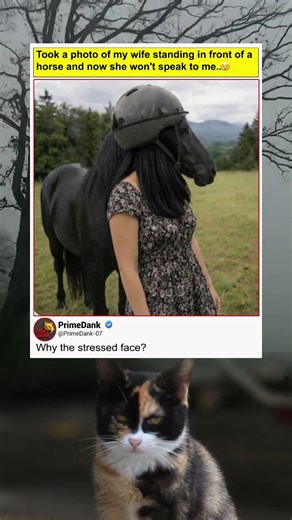 Definition of wrong timing 🐴📸 | funny memes | relatable American memes | dank memes