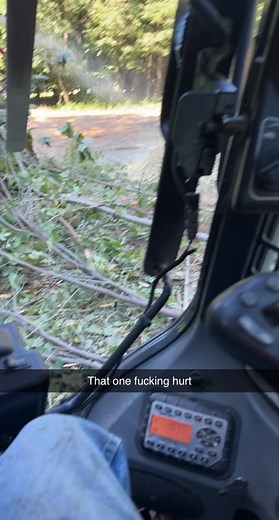 Tree vs window trees always win only the 4th this year #fyp #oops #ouch