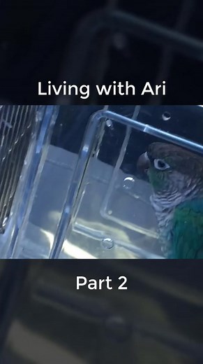 Living with Ari Part 2 #jaidenanimations #edit #animations #fypシ #fyb #foryoupage#foryou #ari