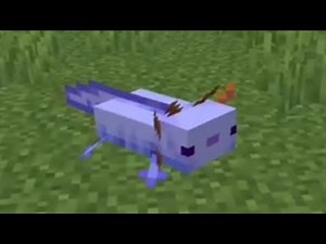 How to Summon a Blue Axolotl in Minecraft Java Edition