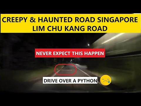 Haunted Road - SINGAPORE 🇸🇬 (Lim Chu Kang Road)