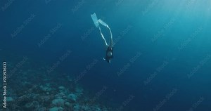 Woman freediver dive and swimming on deep ocean. Freediving in blue ocean