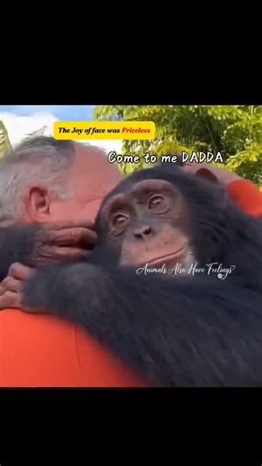 They Never Forgot! Orphaned Animals Cry Hugging Their Human Parents #animalemotions #animalreunion