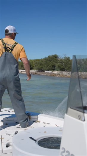 The importance of using Live Bait! 🎥: Local Knowledge S10:E1 Battling Sharks to Catch Tuna!” Available on YouTube, Waypoint TV & Streaming apps | Local Knowledge